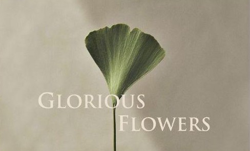 GLORIOUS FLOWERS