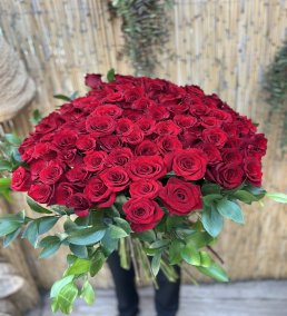 101 Rose Red
